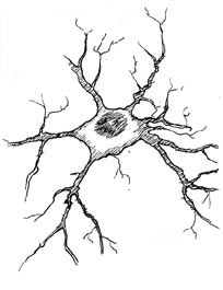 Neuron
